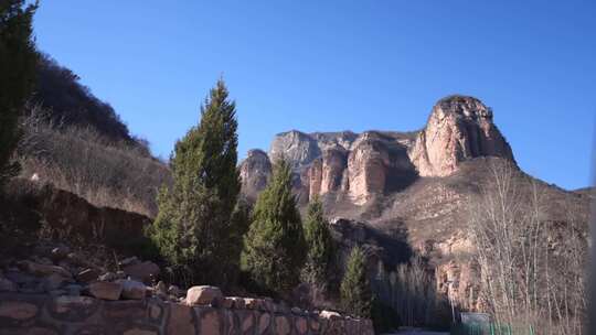 树 岩石上的树 美景 景色 石家庄 嶂石岩