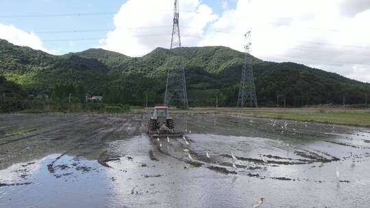 农村机器耕地海鸥鸟飞翔4K航拍60帧