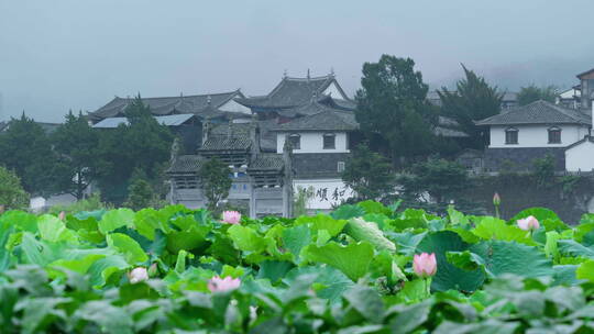 雨中荷塘旁的和顺古镇