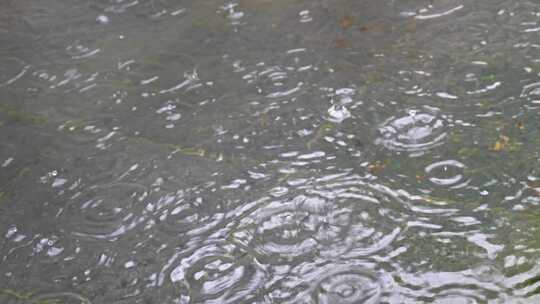 大自然雨季下雨雨滴