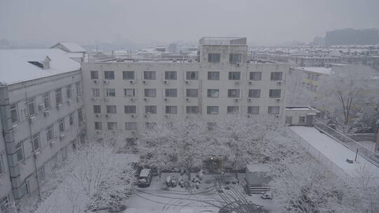 雪景 冬天雪景 大雪纷飞