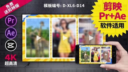 视频包装模板Pr+Ae+抖音剪映 D-XL6-D14