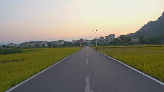 乡间稻田旁的小路风景