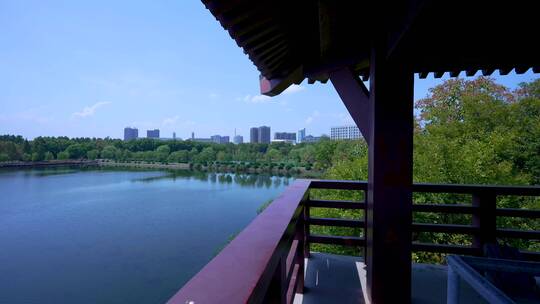 武汉蔡甸区沌口汤湖公园湿地公园4K视频合集