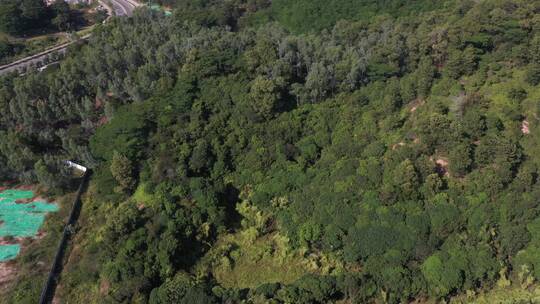 航拍深圳城市生态绿化