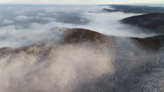 航拍壮美山河山川雪松松林_4K