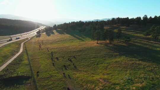 布法罗野牛群山层日落州际公路i70科罗拉