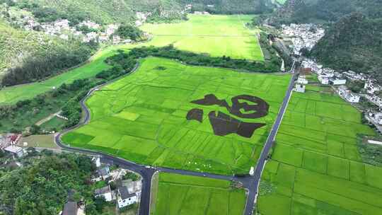 贵州黔西南兴义万峰林景区田园风光风景航拍