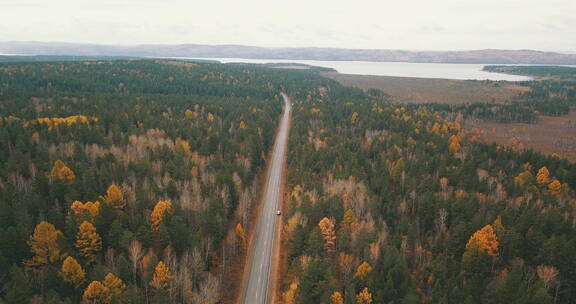 俄罗斯西伯利亚森林平原公路