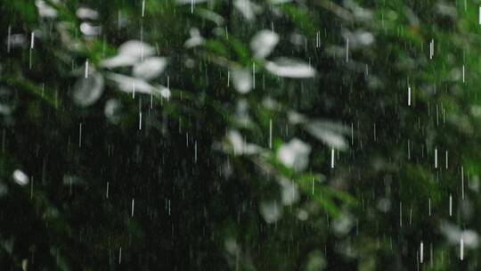 节气夏日背景虚化的下雨天