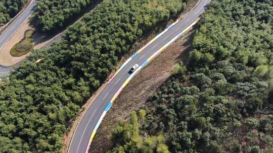 森林 公路 道路 绿色 风景  山路