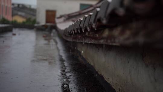 雨滴 雨水特写 水珠