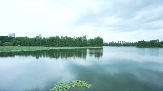武汉东湖生态旅游风景区