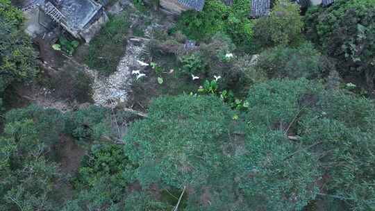 中国广东省潮州市饶平县浮山镇荔林村