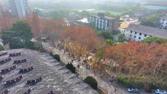 上海杨浦区同济大学本部航拍校园风景风光素