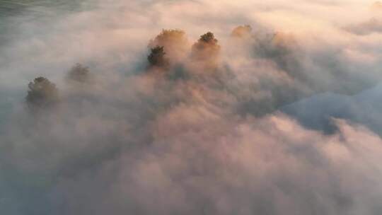 清晨浓雾树林河流迷雾晨雾航拍