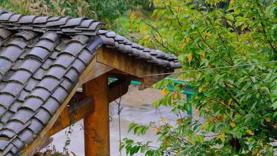 初秋山中农村雨中滴水的屋檐和树叶