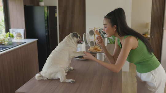 女人和她的哈巴狗分享早餐吐司