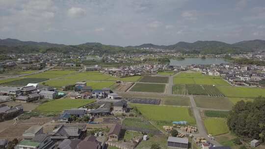 日本和歌山