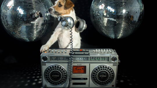 狗狗玩DJ视频素材模板下载