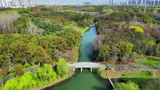 航拍苏州昆山市城市生态森林公园