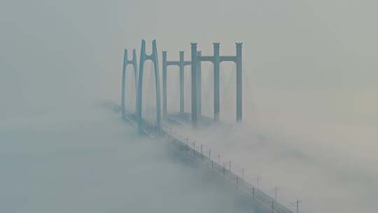 泉州湾跨海大桥平流雾延时摄影【4K】