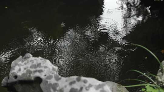 下雨天水波纹池塘水面水滴氛围中式东方禅意