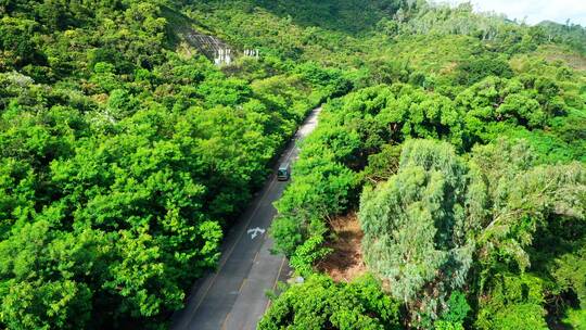 客车在海边公路上行驶大景后退