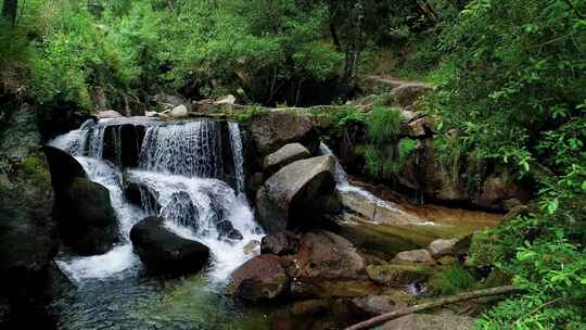 4k森林雨林小溪河流美景自然