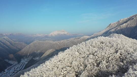 航拍湖北神农架冬季冬天阳光冰雪雪松雪景