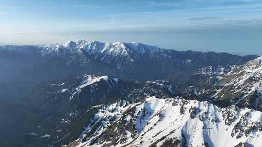 航拍新疆伊犁雪山上的云杉树