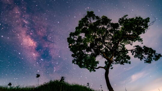 广东江门浪漫的大树与银河