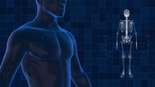 人体结构医学模拟的蓝图三维动画
