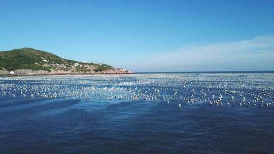 浙江舟山枸杞岛海上牧场风光航拍