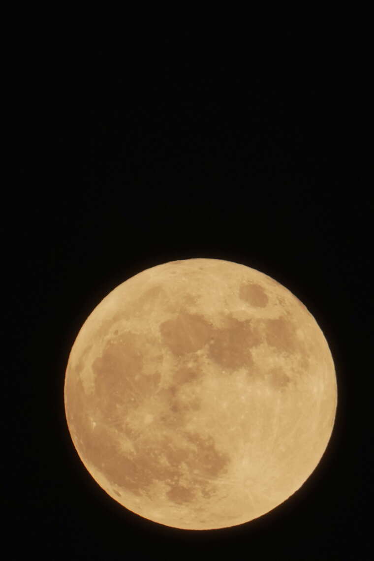 金色中秋满月月亮 中秋节团圆 竖屏延时