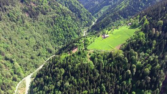 森林和山村房屋的小空地