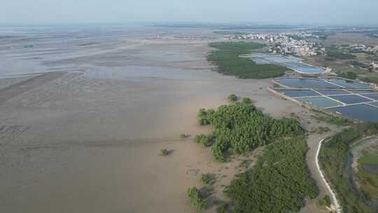 湛江北部湾红树林湿地航拍