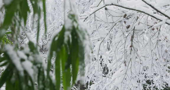 湖南长沙岳麓山雪景实拍视频