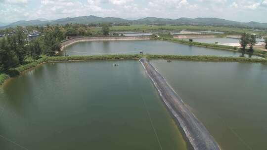 广西北仑河口红树林湖泊实拍视频