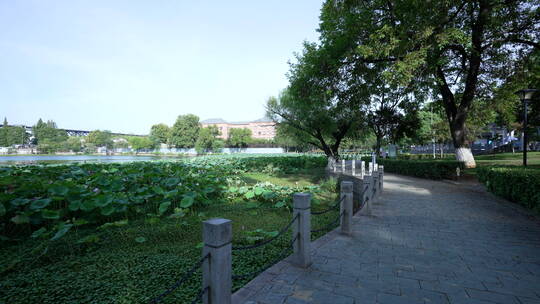 武汉汉阳莲花湖公园风景