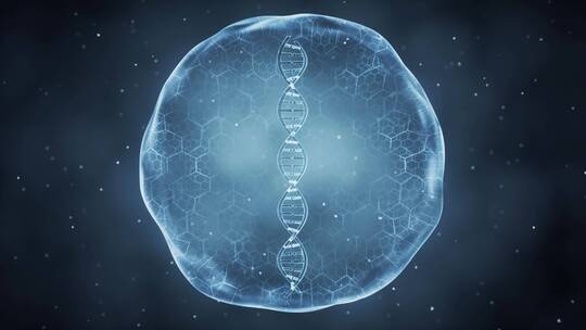 dna螺旋状水分子结构