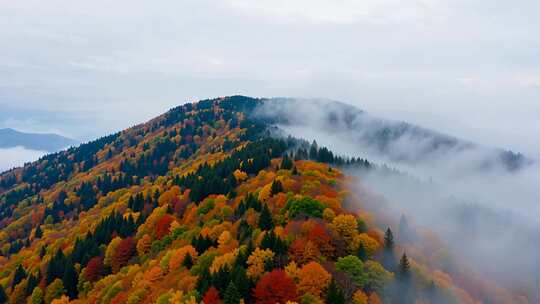 秋季山林云雾环绕景象