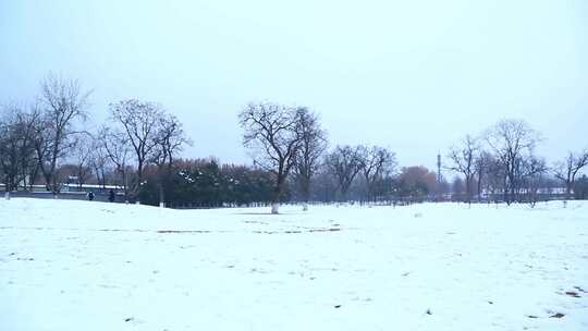 西安大明宫遗址公园大雪雪景视频素材模板下载