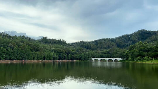 1080延时摄影山水森林湖泊阴天大自然视频