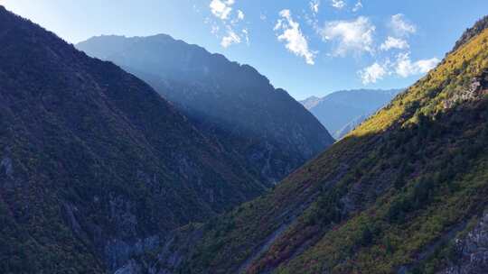 理小路风景航拍