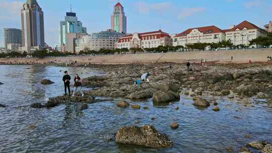 海岸线海边海鸥