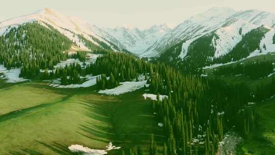 航拍新疆伊犁那拉提森林雪山