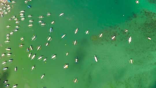 蓝色海湾中的旅游船