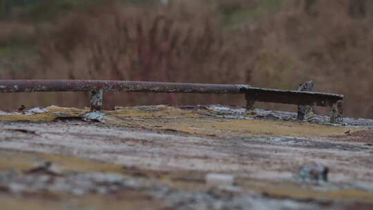 白洋淀破船凄凉诡异残破  生锈 废弃 腐蚀