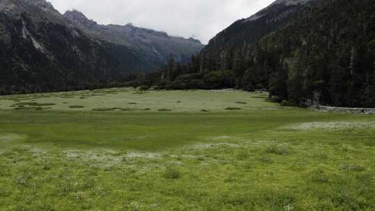 4k超清川西高原航拍湖泊牧场山谷